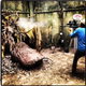 Illustration for article titled Behind the scenes photos from True Detective may contain secrets
